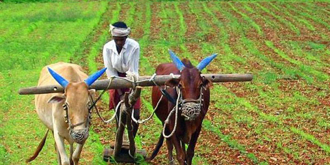 Maharashtra-farmers