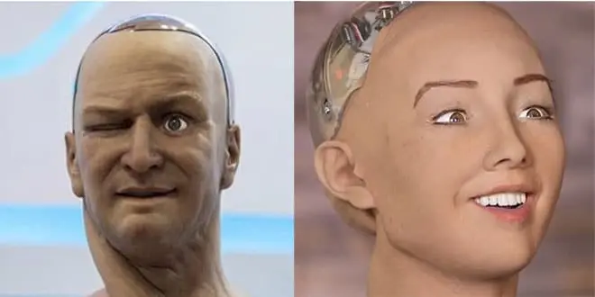 sam-and-sophia-robot