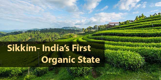siikim first organic state