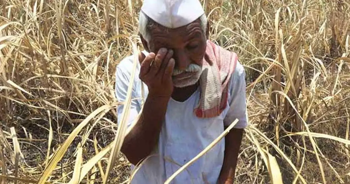 Farmer