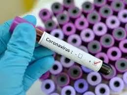 Image result for coronavirs