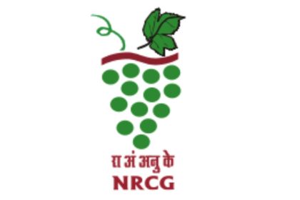 ICAR NRCG Pune Recruitment
