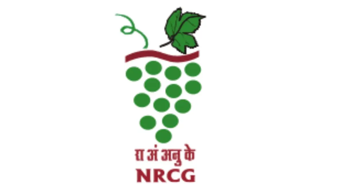 ICAR NRCG Pune Recruitment